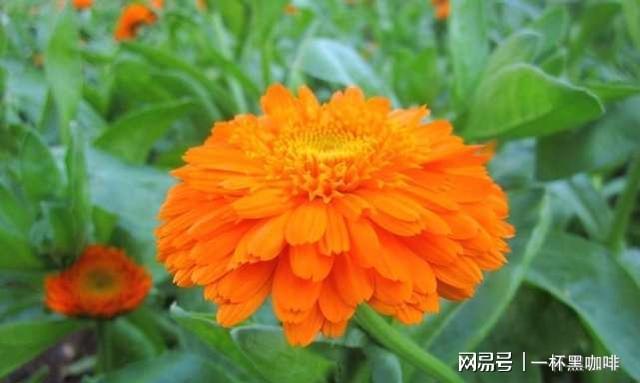 路由器403 forbidden_器路由器设置_403forbidden