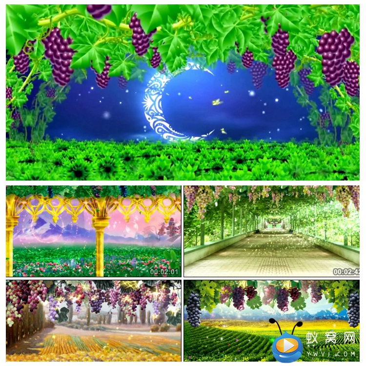 七喜q7_七喜s803手机_七喜s803