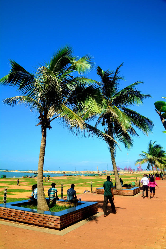 悸证_悸证_悸证