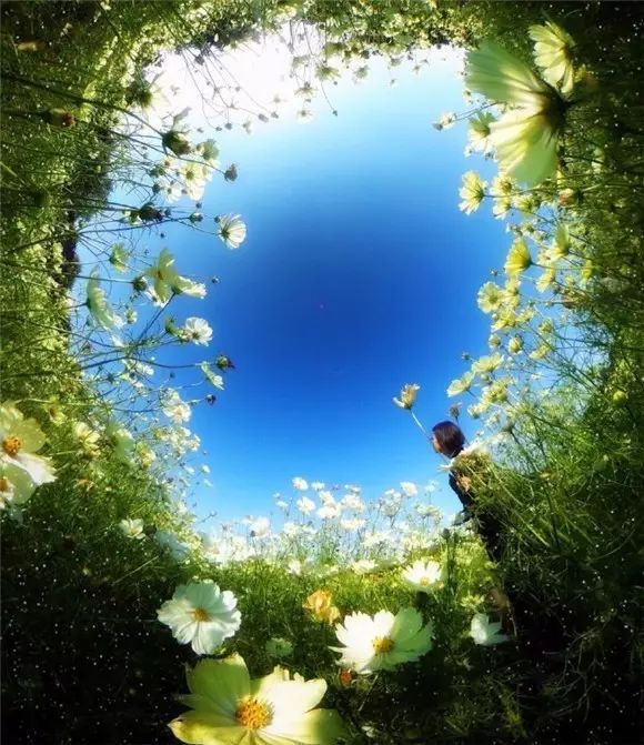 悸证_悸证_悸证