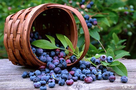 朝阳中心医院挂号预约电话_朝阳市中医院官网_朝阳中心医院网上预约挂号