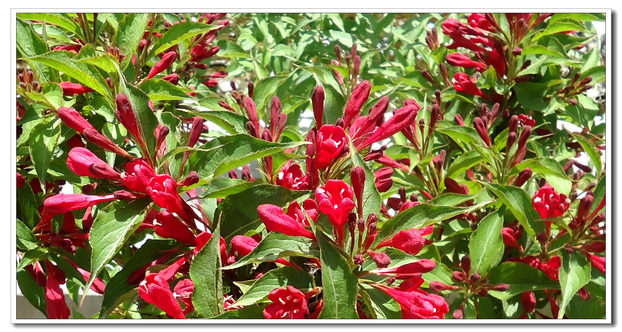 分区表丢失数据恢复_丢失的分区恢复_丢失的分区数据恢复