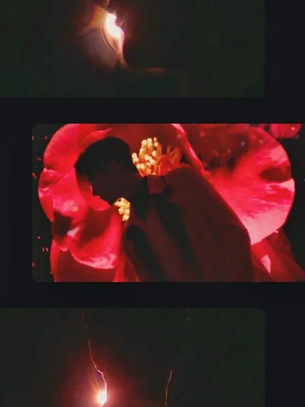 辽宁卫视完美告白_完美广播_wmgb