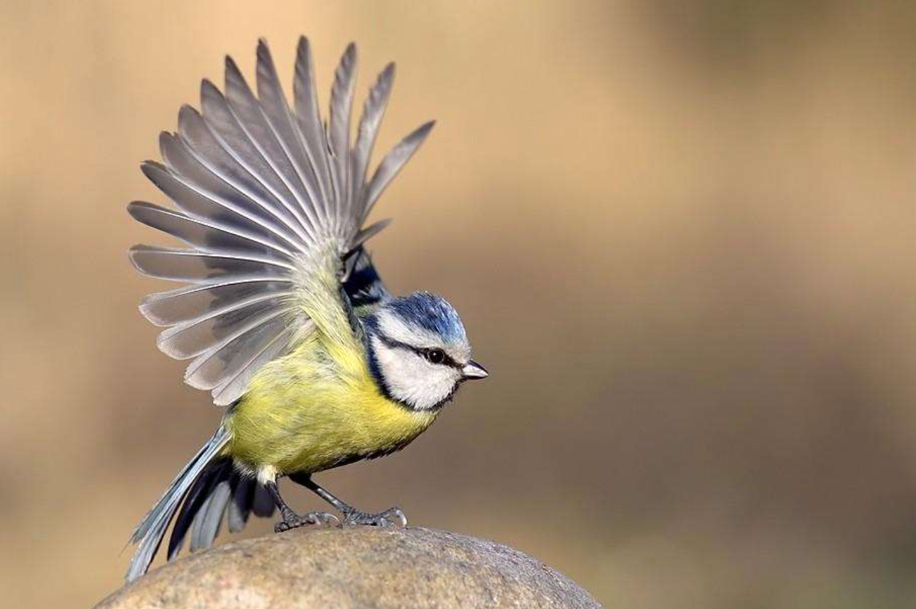 近年计算机病毒的种类_近年有名的计算机病毒_近年来的计算机病毒