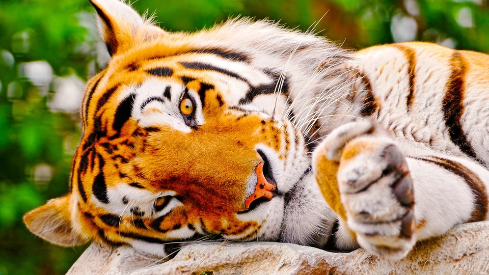 首都医科大学北京佑安医院挂号_北京佑安医院挂号_北京市佑安医院挂号