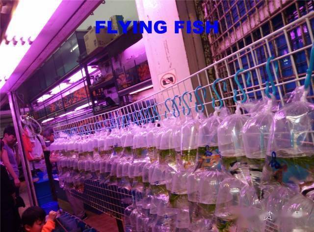 书店管理软件哪个好_书店管理系统软件_书店什么管理软件好