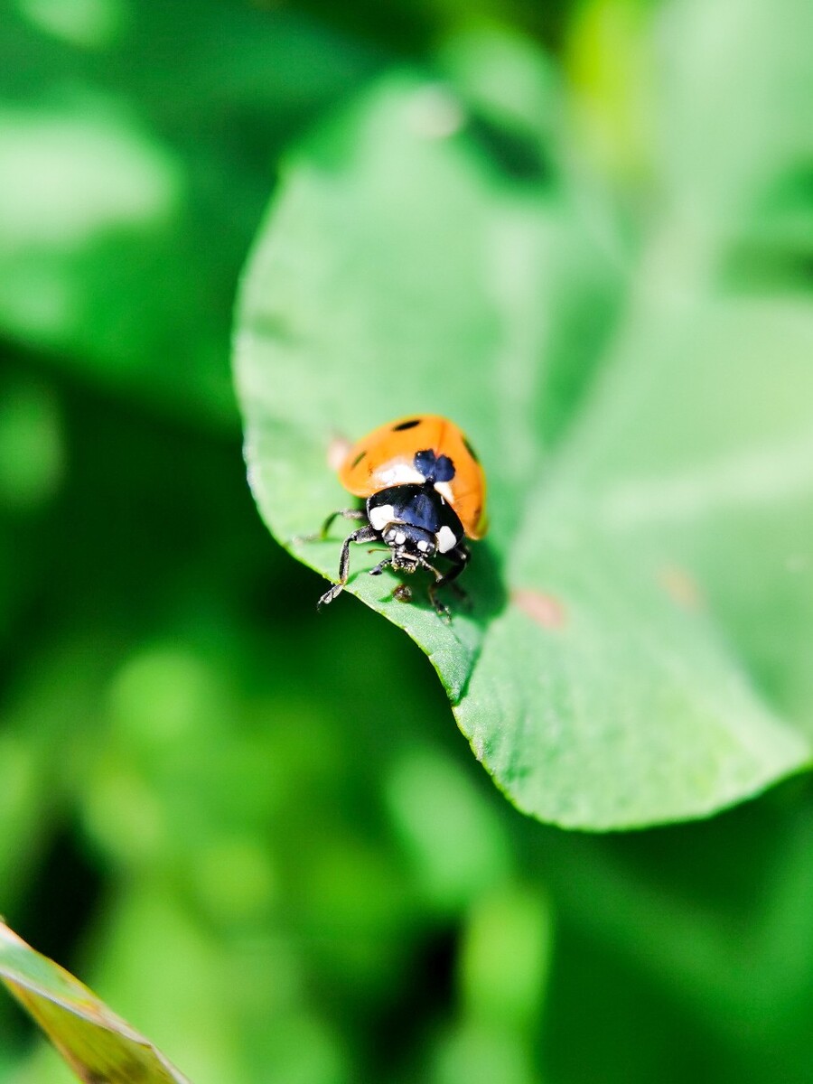 精简版小说软件_精简版小内存快手_最小精简版win7