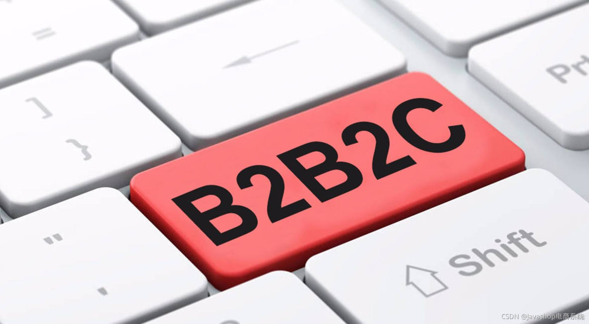 b2b2c商城系统要多少钱_b2c商户什么意思_b2c商户