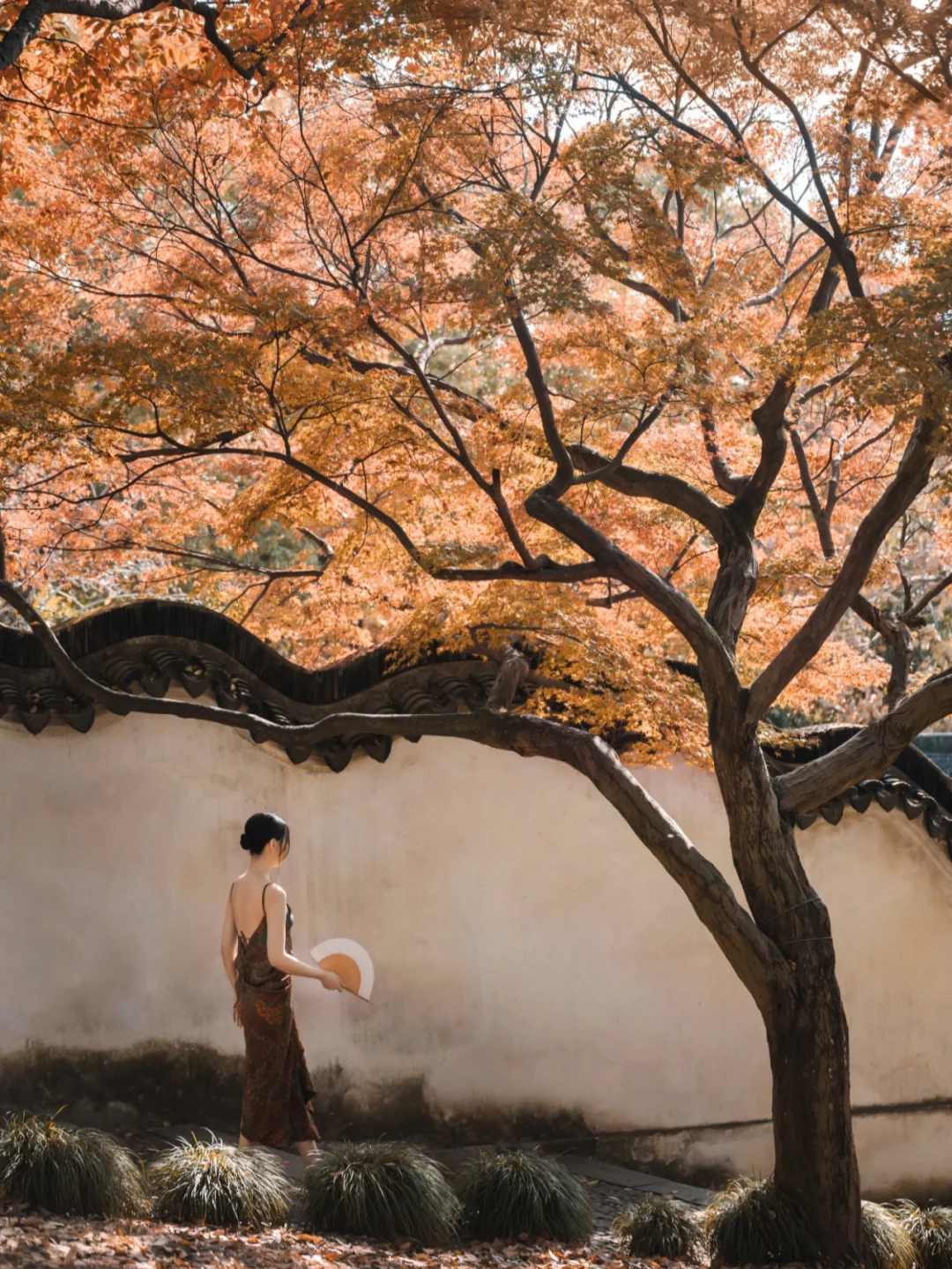 朝阳化工路完工_朝阳化工区路况如何_朝阳区化工路