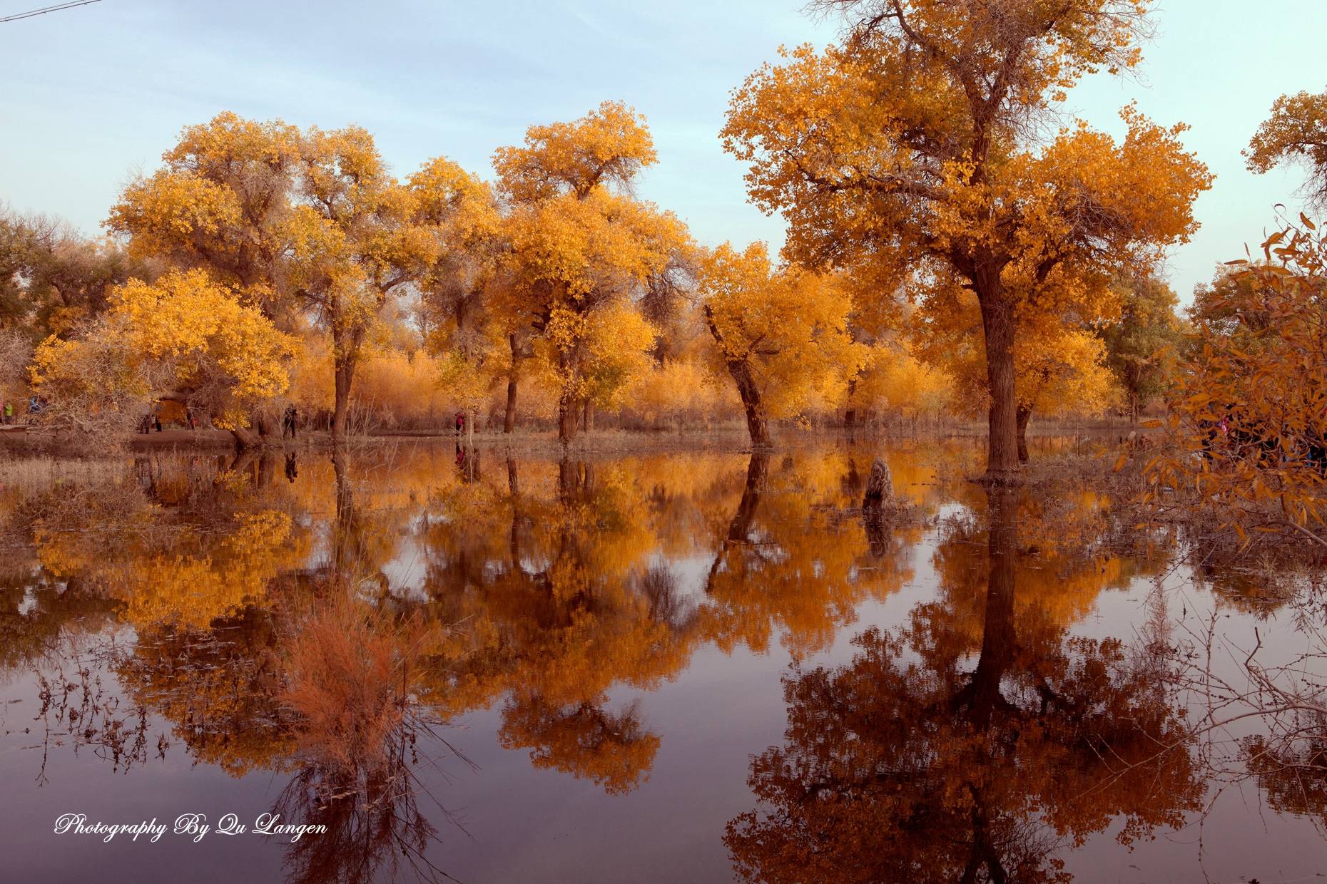 小路工作室系统下载_小路工作室系统下载_小路工作室系统下载