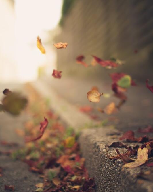 小路工作室系统下载_小路工作室系统下载_小路工作室系统下载