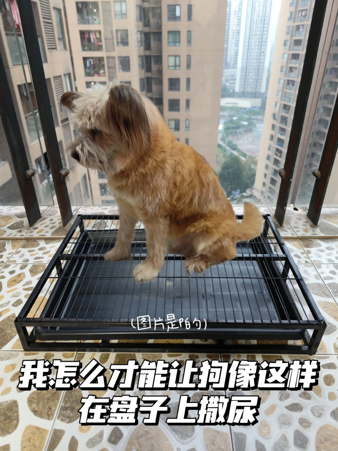 户籍信息错误_户籍错误信息怎么更改_户籍错误信息怎么办