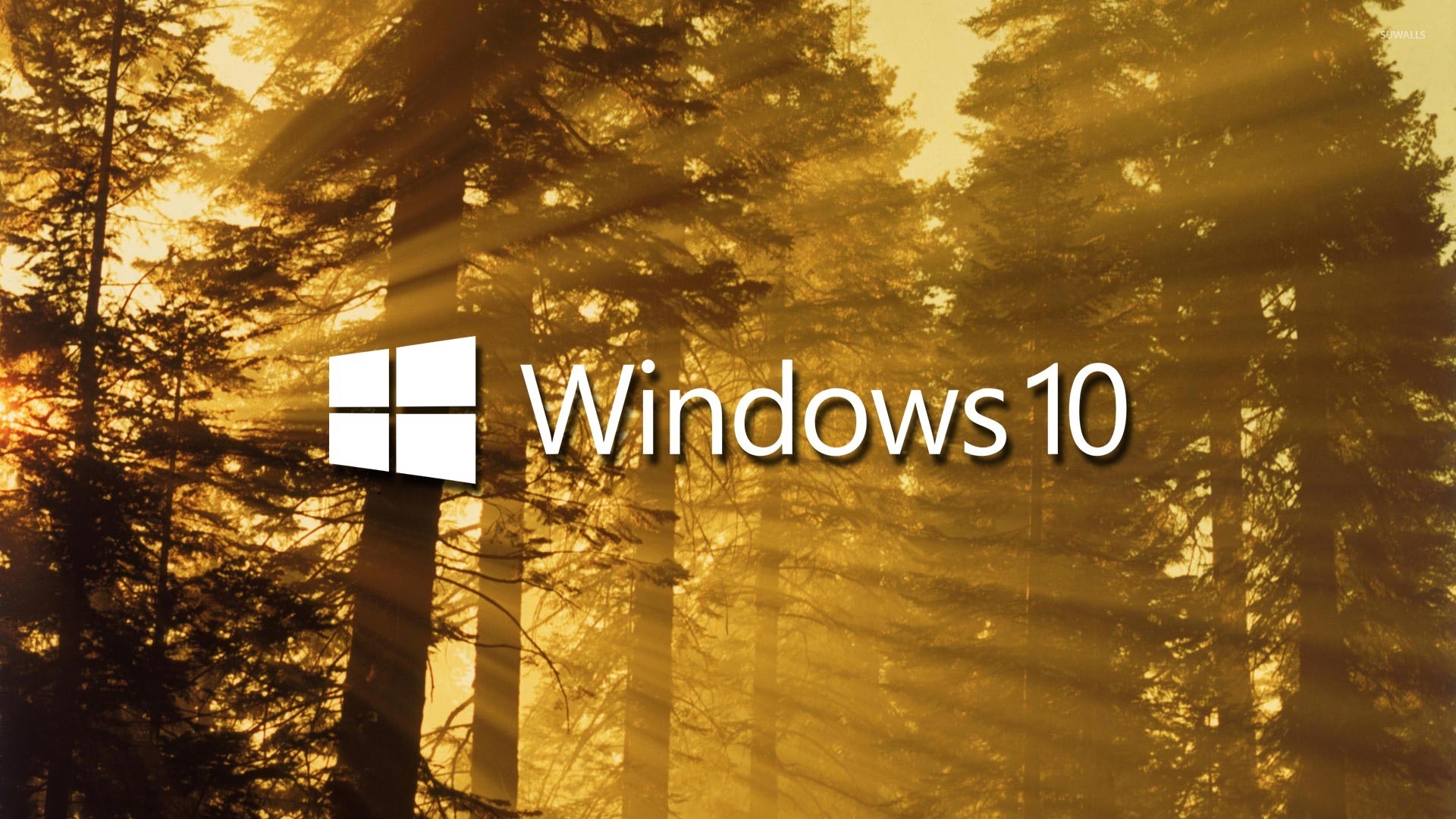 升级windows7至11_升级windows7至10_windows7怎么升级10