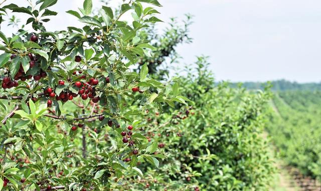 手机号码绑定身份证_绑定证号码身份手机号怎么改_绑定证号码身份手机怎么查