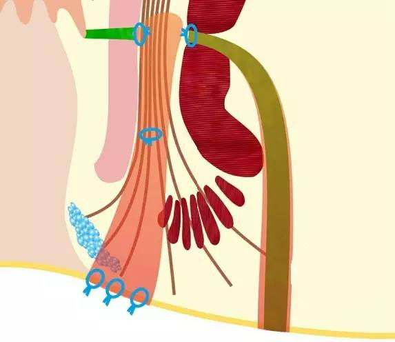 多长手术换药肛瘘时间长一点_肛瘘手术换药多长时间_肛瘘手术多久换药一次