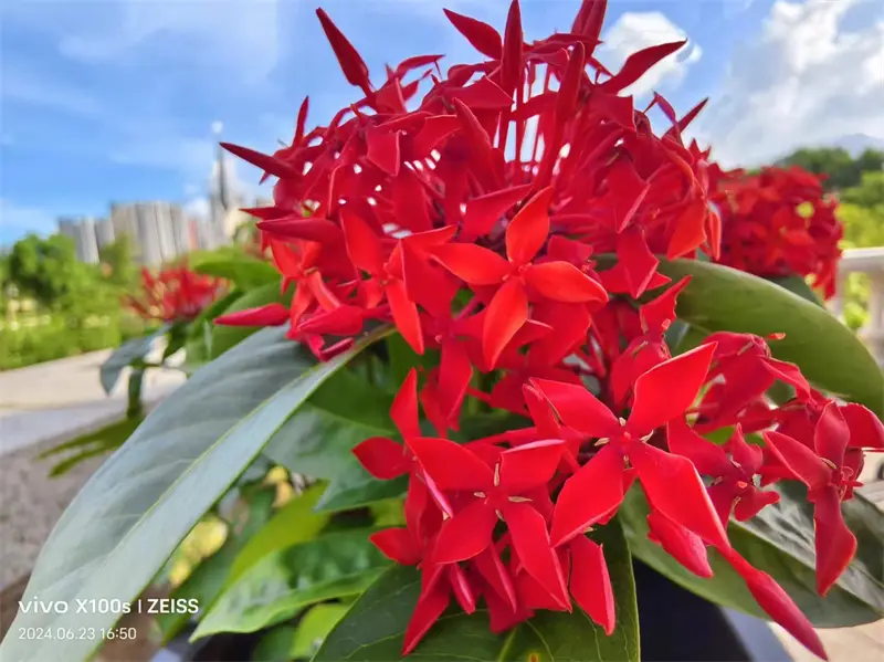 省电宝有没有用_省电宝真能省电吗_省电宝有用么