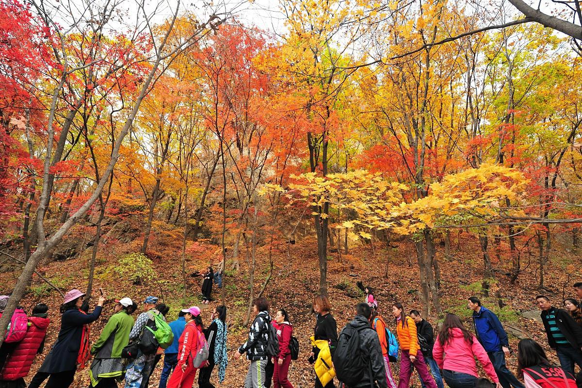 bcompare 破解_破解版游戏无限内购破解版_破解版游戏盒子大全