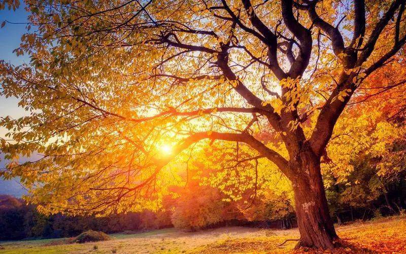 ecognition 导出分类结果_导出数据怎么分类_excel分类汇总导出