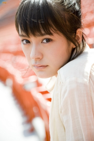 风林火山nhk_风林火山日本_日本风林火山原旗