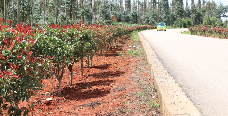 共享总线结构的特点_总线共享技术的特点_共享总线技术