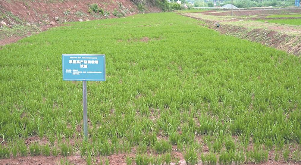 证查号码身份手机可以查吗_可以用手机号查身份证号吗_手机号码可以查身份证