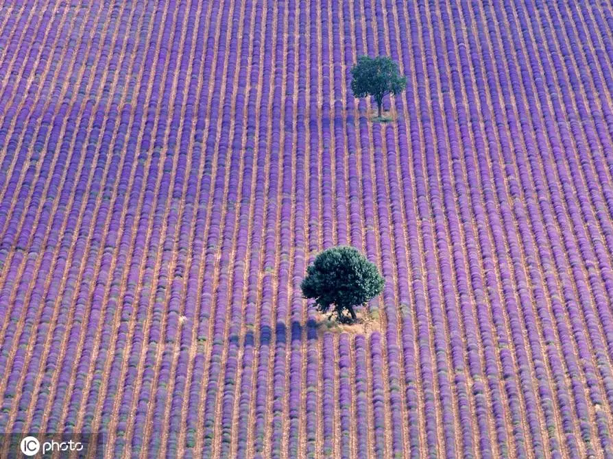 联想b520一体机windows7声卡驱动更新_联想win10声卡驱动_联想声卡驱动下载