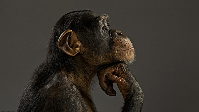 windows7sp3 64位旗舰-Windows7SP364 位旗舰版：永恒的经典，最懂你的老朋友