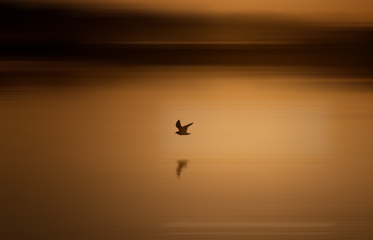 win7旗舰版是几位_旗舰位置_windows7sp3 64位旗舰