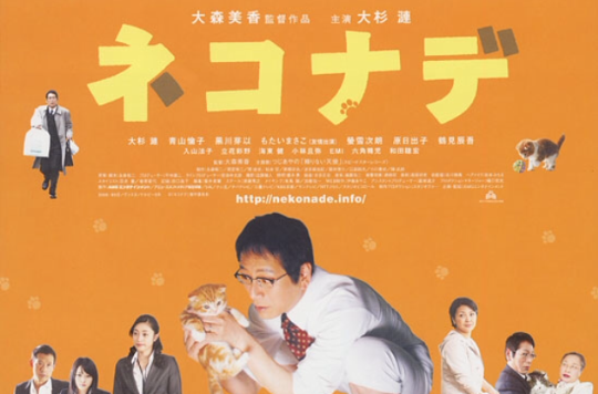 企业管理工具大全_管理设备有哪些_企业管理器