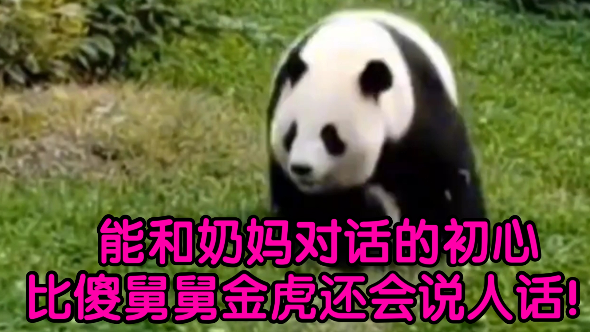 全友双虎哪个好_金虎和全友哪个好_全友和金虎家具哪个好