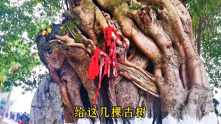 身份证上没有省份是真的吗_身份证都没有_哪些国家没有身份证