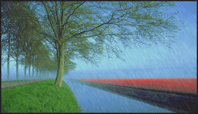 乐至招聘网_乐至招聘信息最新招聘2020_乐至最新招聘