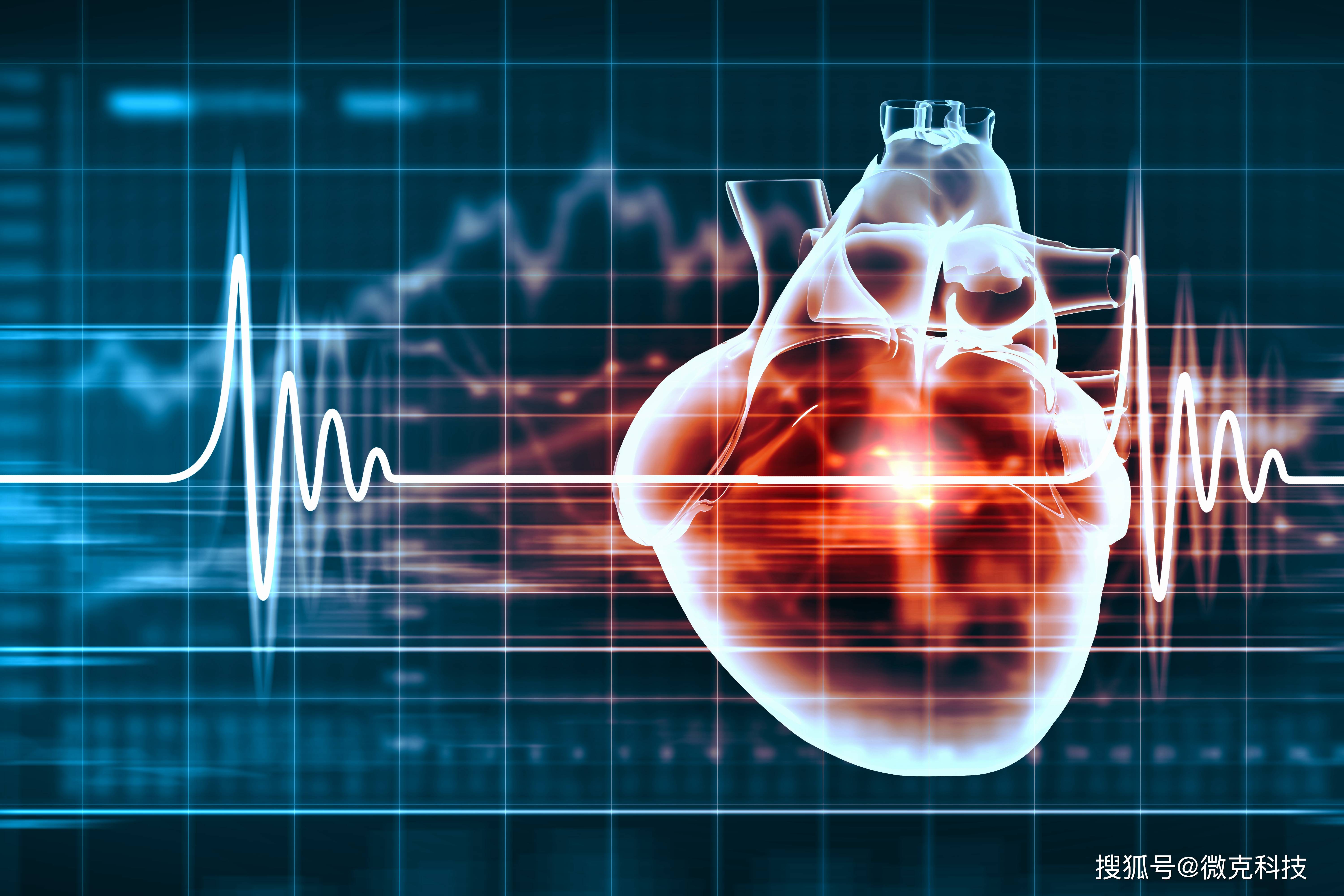 诊所管理系统小结怎么写_诊所系统管理用哪个好_小诊所管理系统