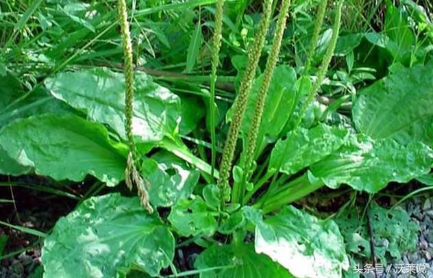 bios备份命令_备份命令linux_备份命令tar