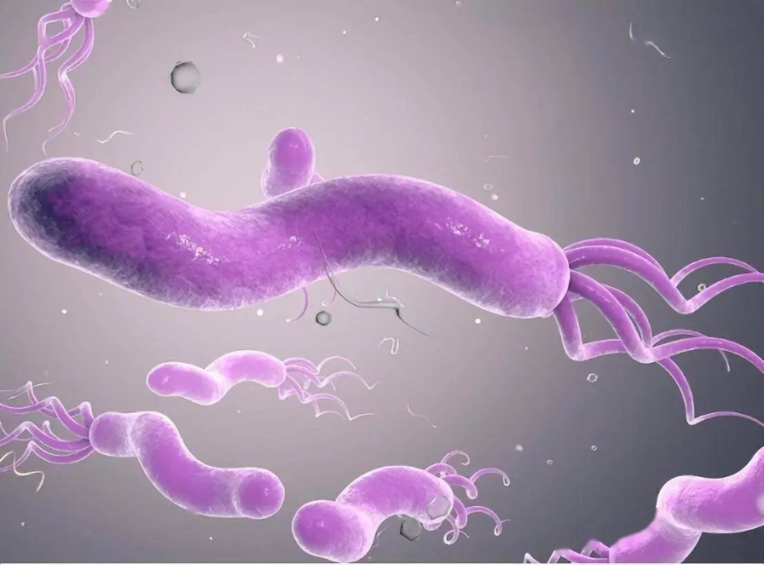 水果治胃病_有胃病不能吃什么水果?_胃病吃水果有什么忌讳