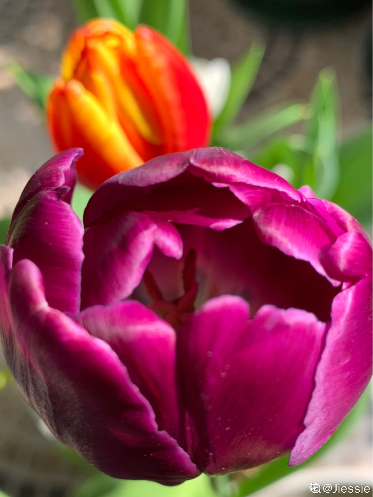 联想进bios按哪个键盘_联想u330p怎么进bios_联想g405进bios