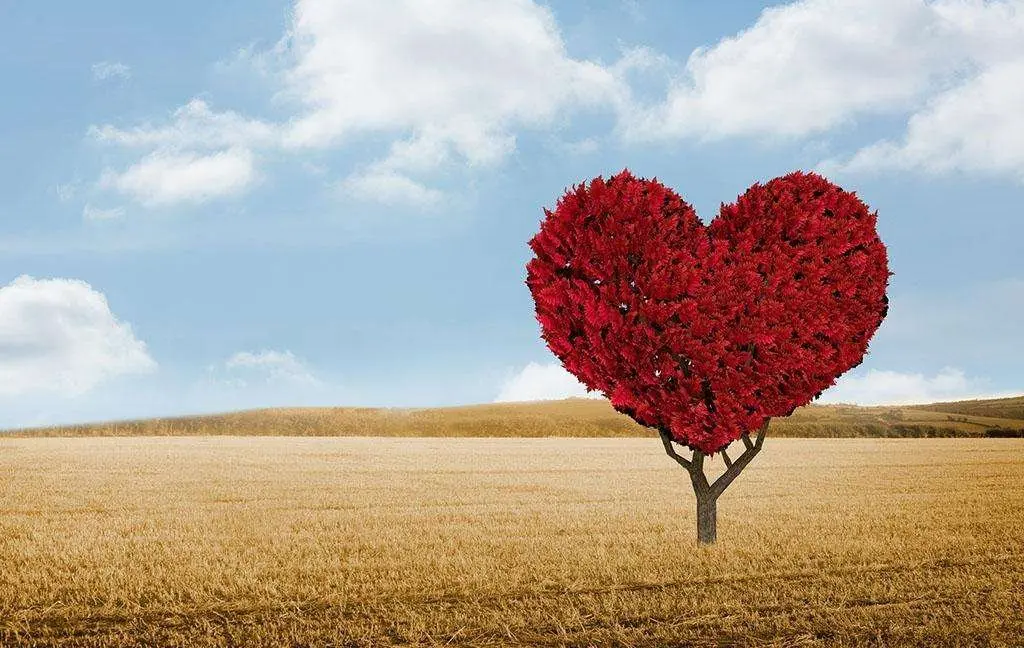 朝阳县镇医院助理招聘_朝阳镇县医院_朝阳镇县医院电话