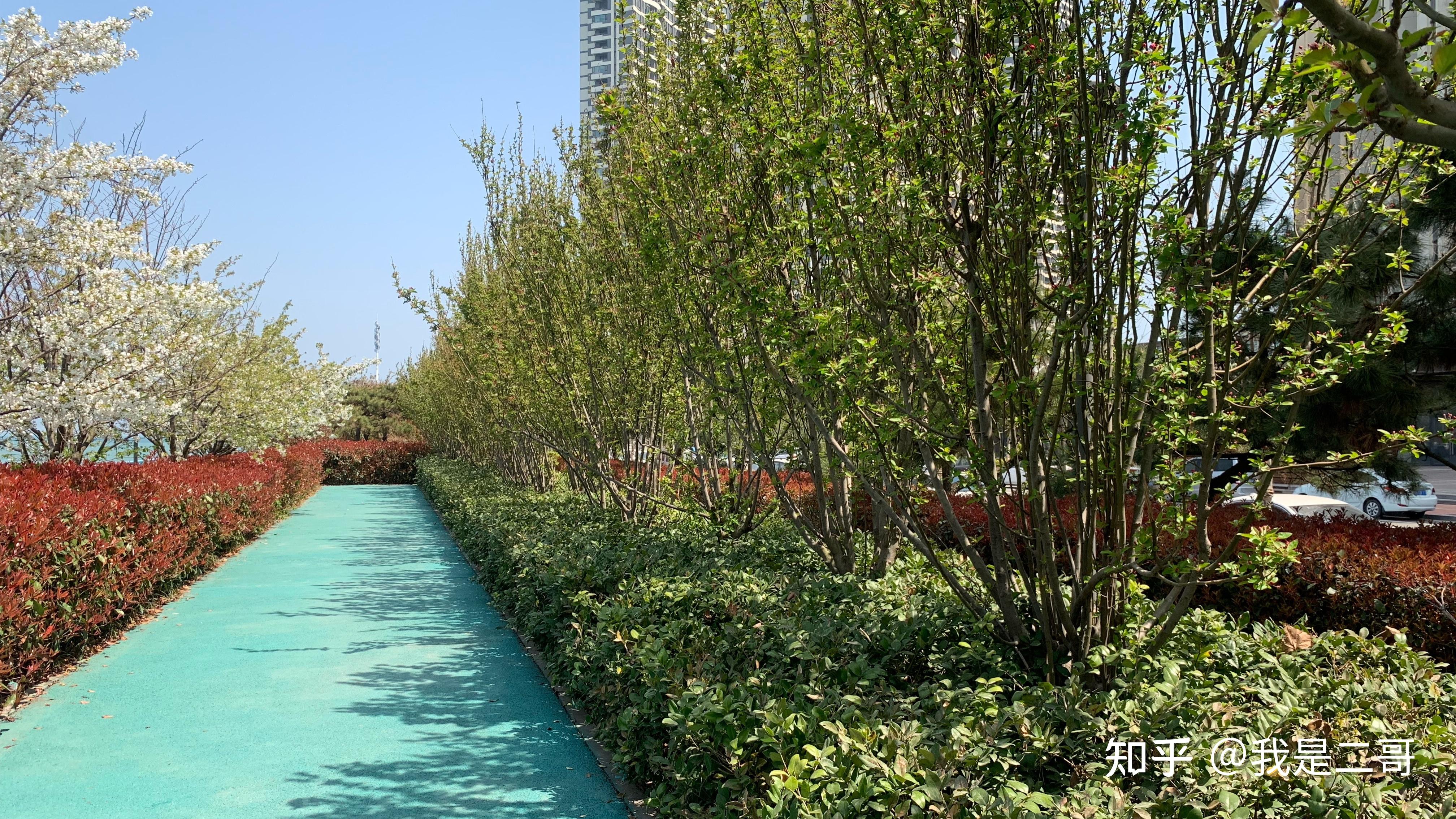 户籍查信息到哪个部门_户籍查信息到哪里查询_查不到户籍信息