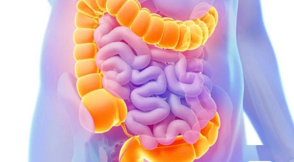 罗恩科病_克罗恩病图_罗克恩病是什么病