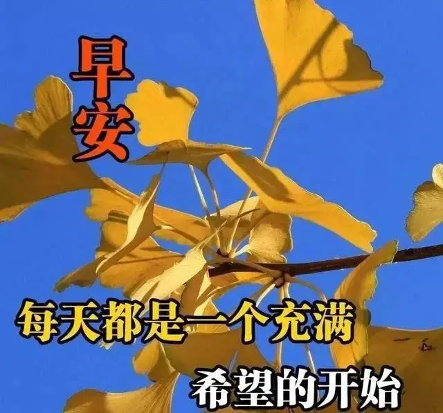 带raid的2024-2024 年热血挑战，带 Raid 的日子：打怪升级与团队协作的狂欢