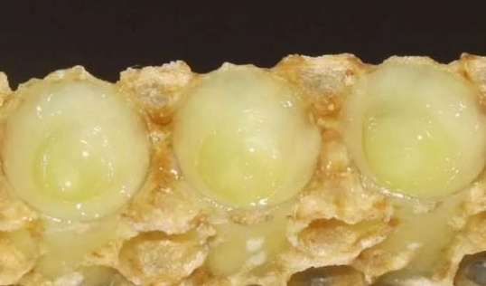 身份证号码辨别真伪_身份证号码真假辨别_如何辨别身份证号码真伪