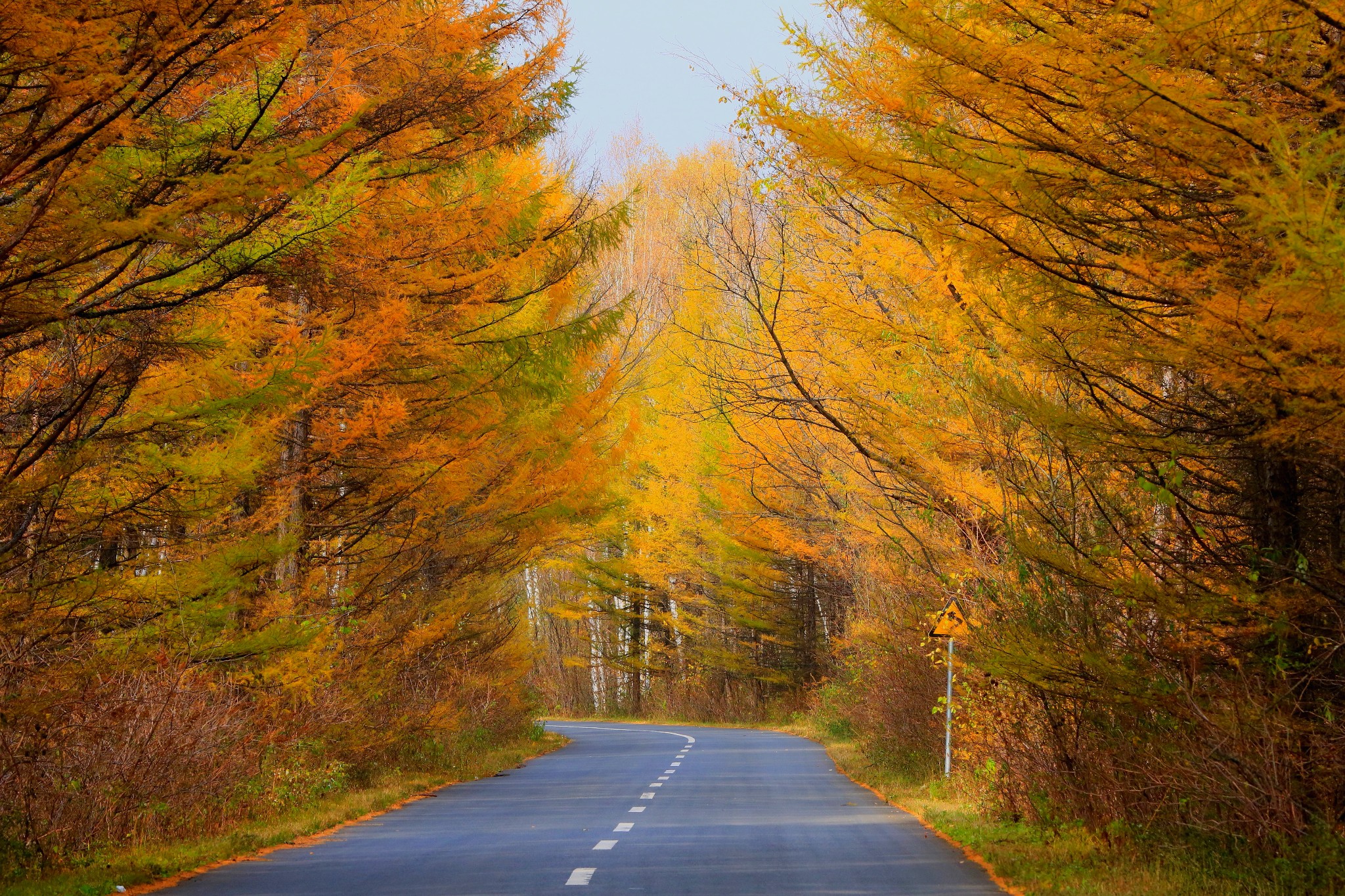 windows8平板系统下载-我的疯狂 Windows8 平板系统下载经历，一波三折但最终成功