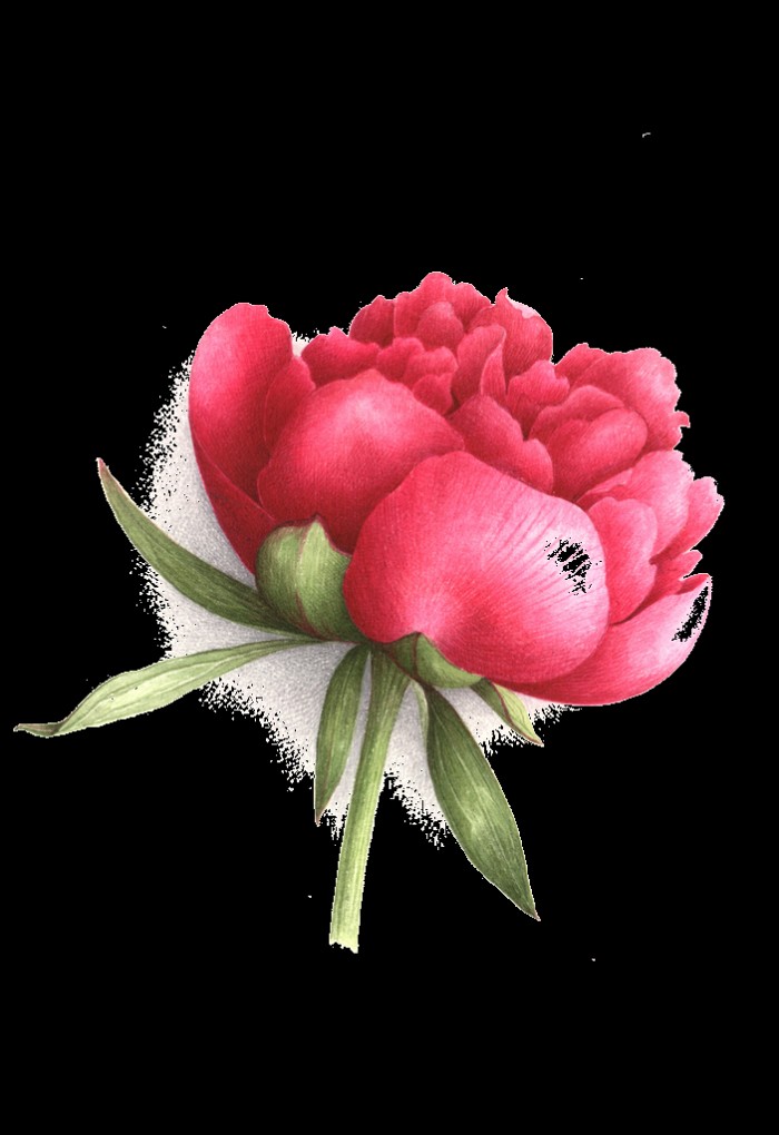 bootply 下载-一波三折的 Bootply 下载之路，让我心情犹如过山车