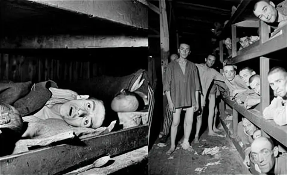 有关德国的奇葩事实_德国有趣历史事件_关于德国的奇闻趣事