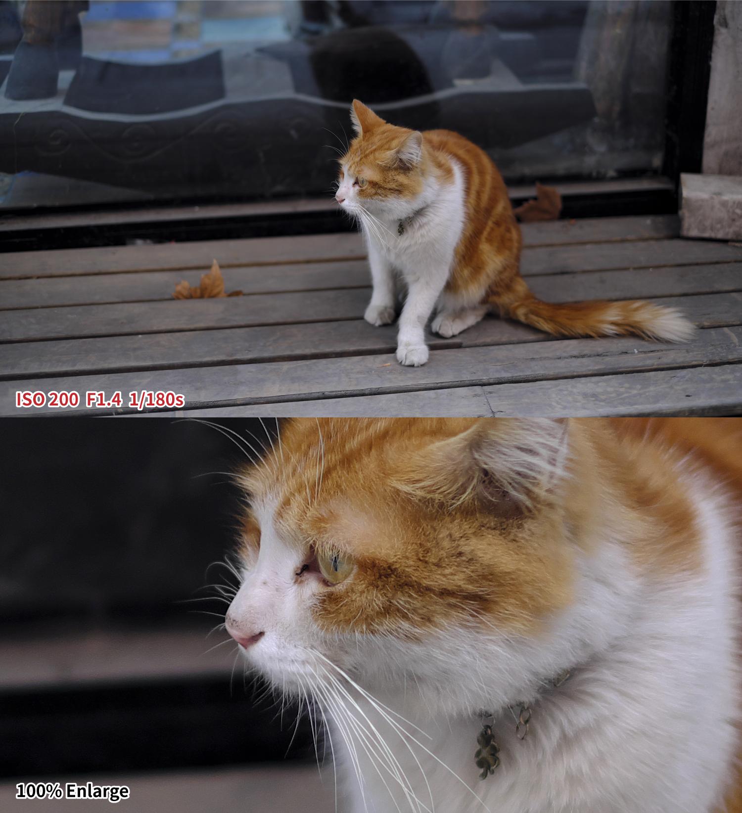 bugreport xfexe错误-xfexe 错误顽固难除，用户赶进度被卡，如何解决成难题