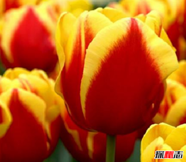 physdiskwrite.exe_physdiskwrite.exe_physdiskwrite.exe