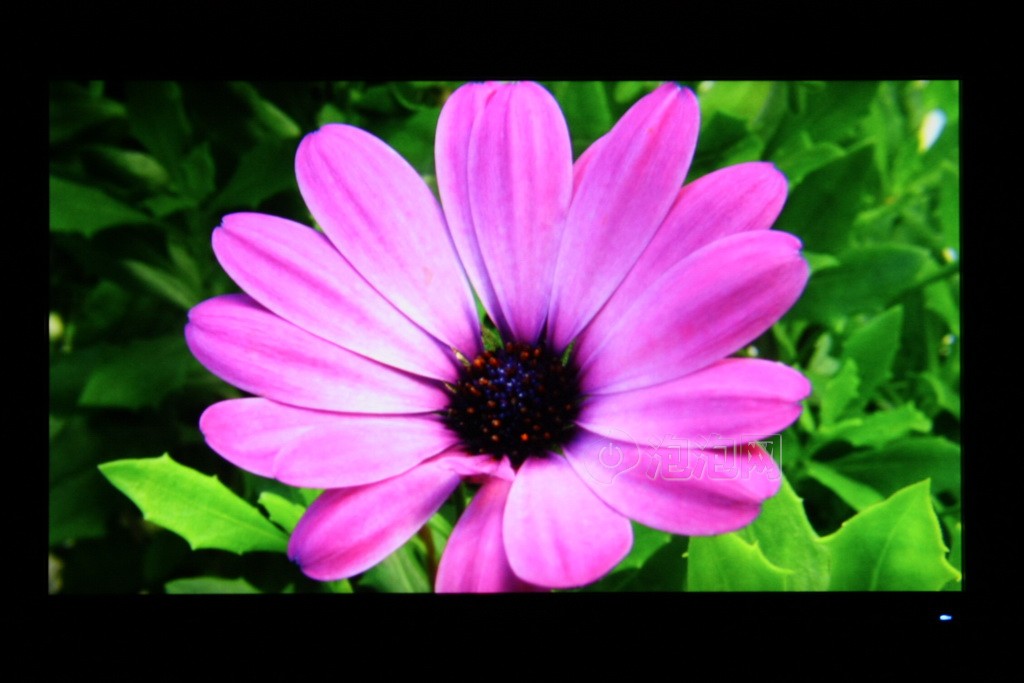 三星电脑光驱装机_光驱三星电脑装机怎么装_三星笔记本光驱装系统