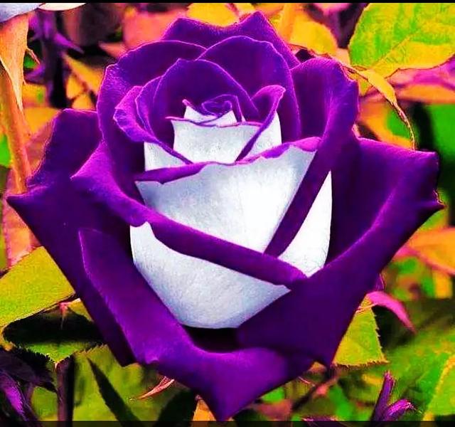 帝国模板安装教程_帝国cms 下载站模板_帝国模板∶一品资源