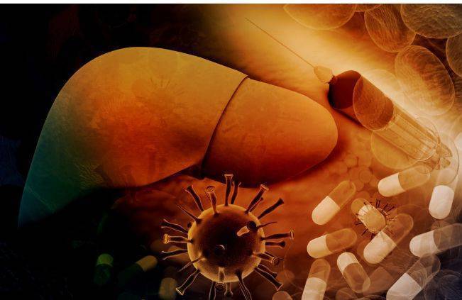 肺炎克雷杆菌白细胞偏高_肺炎克雷白杆菌的典型临床表现_肺炎克雷白杆菌肺炎