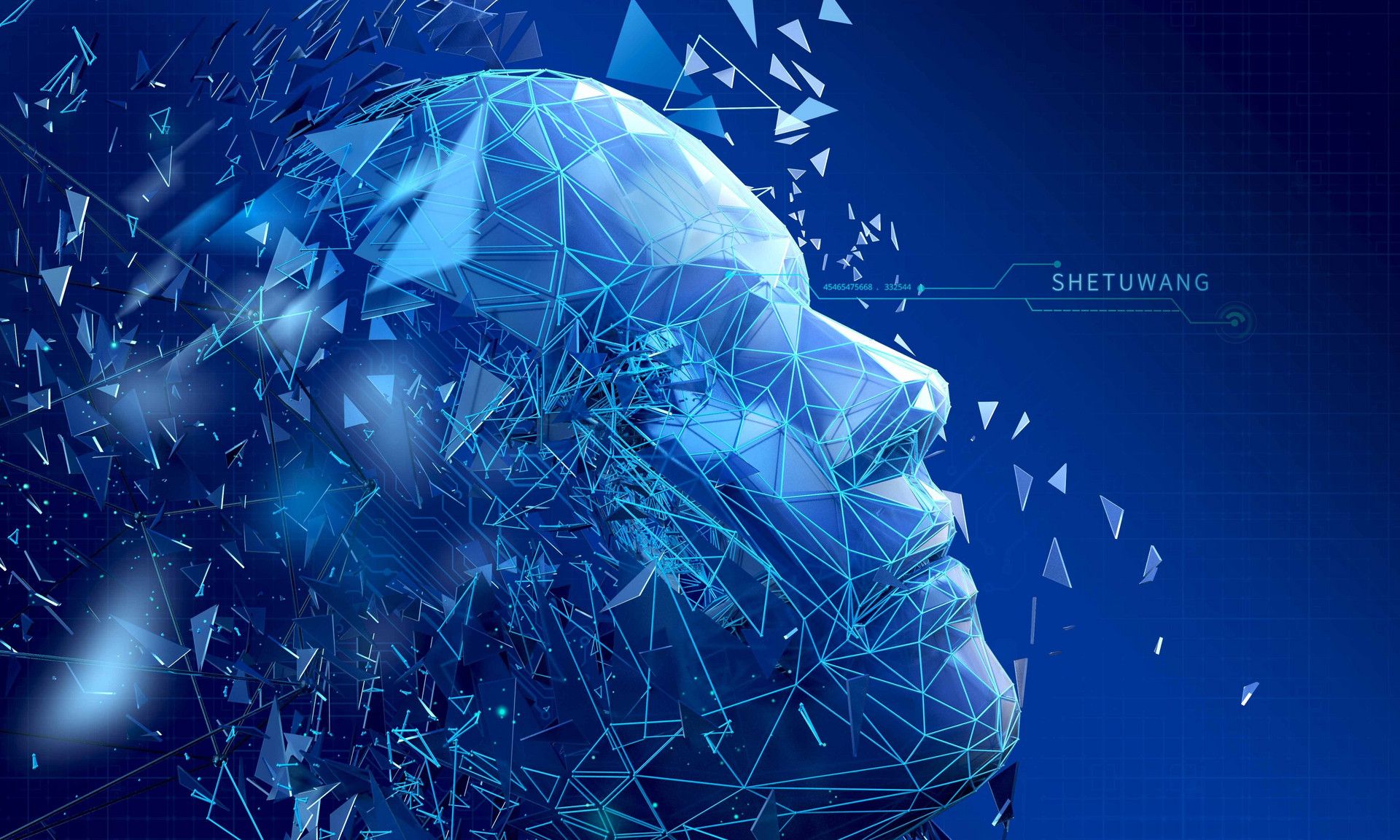 二羊图书软件先锋-二羊图书：清新阅读风，智能推荐与活跃社区的完美结合